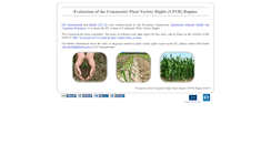 Desktop Screenshot of cpvr.info